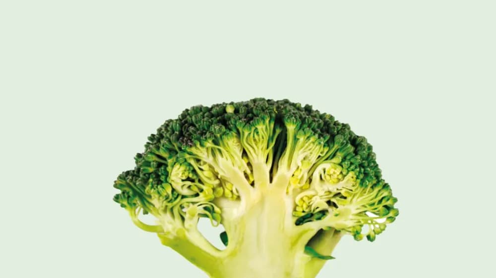 Why Diets Fail and What Actually Works: The Science of Sustainable Weight Loss