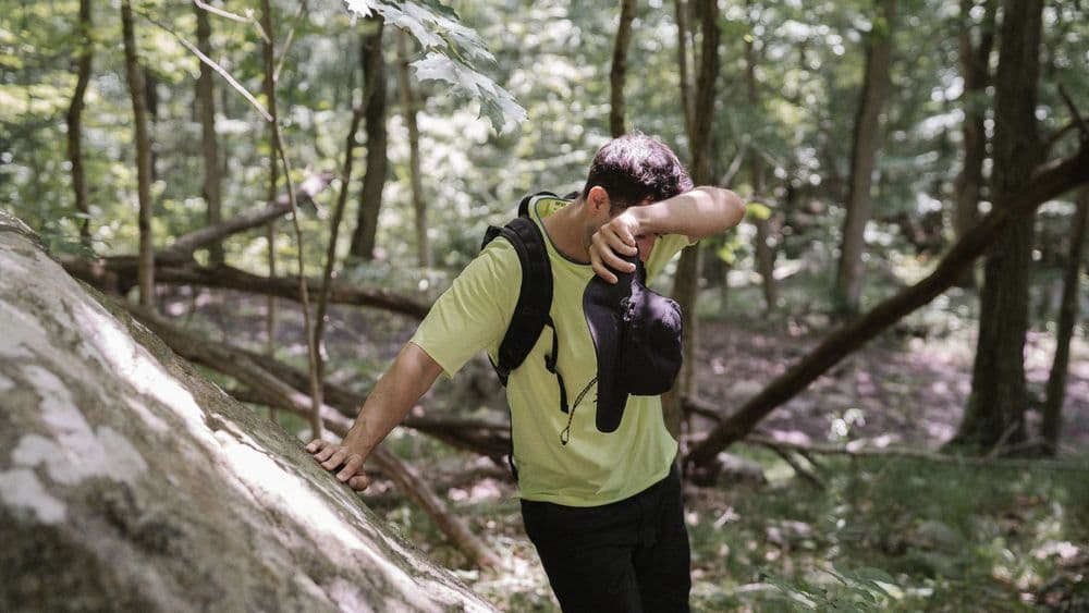 What Natural Herbs Increase Testosterone?