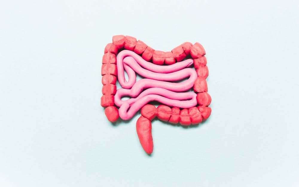 How gut health can contribute to your overall health